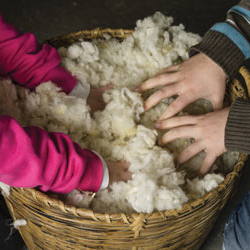 Musée de la Filature des Calquières, le Monde de Filaine