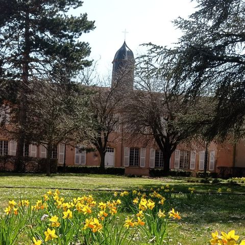 Musée de la Soierie