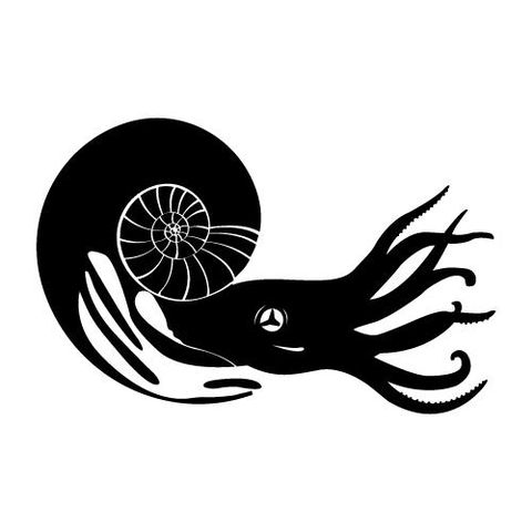 Musée Archéologique "Armand-Viré"