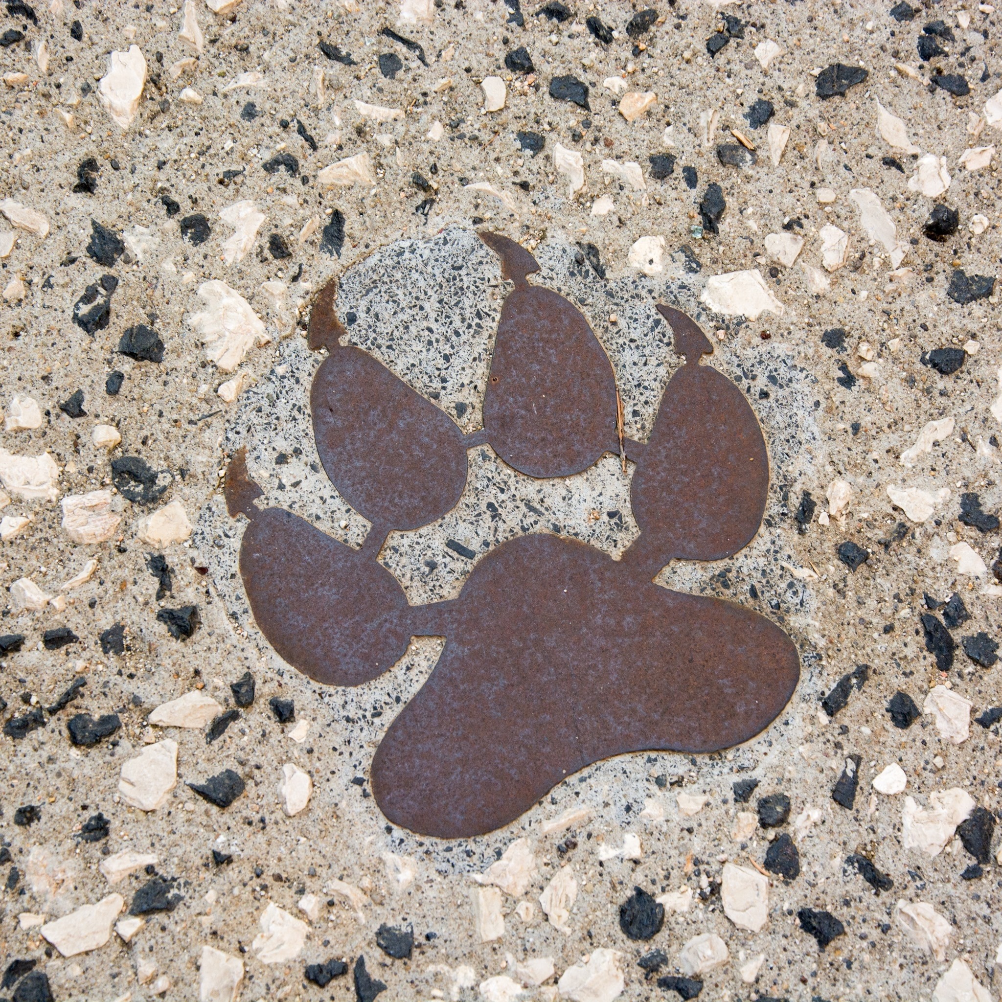 Musée de Paléontologie