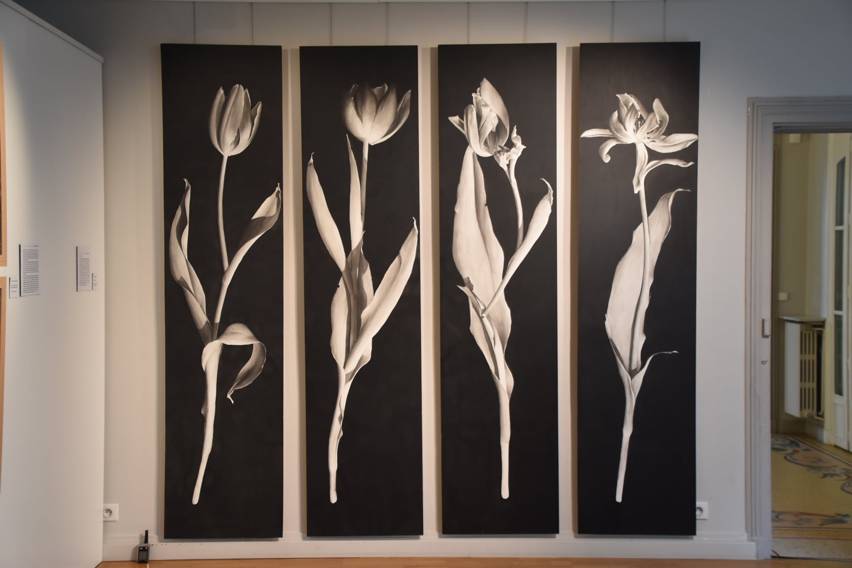 Musée Municipal Robert Dubois-Corneau