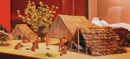 Musée Départemental d'Archéologie Précolombienne et de Préhistoire de la Martinique