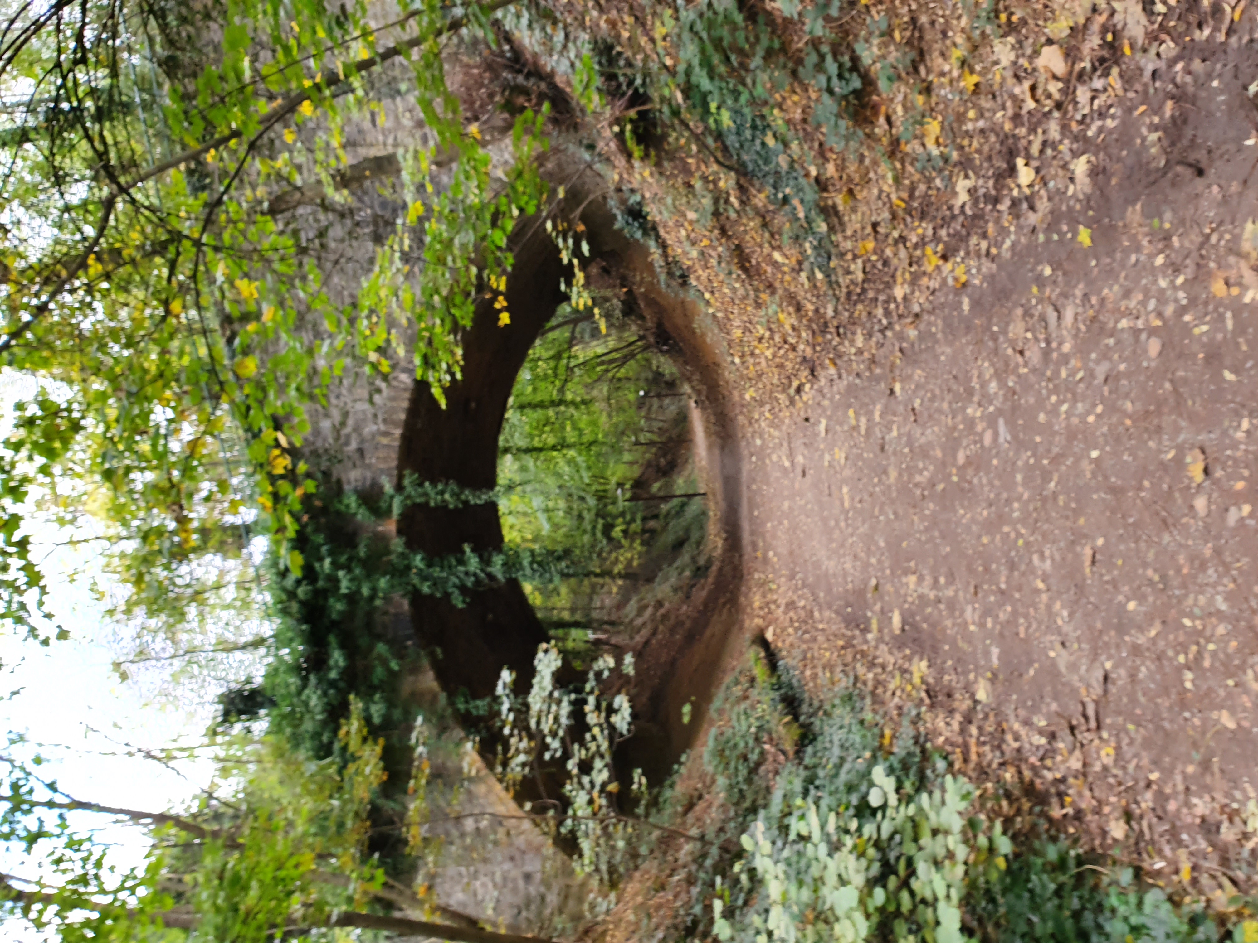 L'un des passages en tunnel sur la Voie Verte. Ces passages permettaient aux propriétaires dont les terrains avaient été "coupés en deux" de pouvoir aller d'une parcelle à l'autre. L'un des passages en tunnel sur la Voie Verte. Ces passages permettaient aux propriétaires dont les terrains avaient été "coupés en deux" de pouvoir aller d'une parcelle à l'autre.