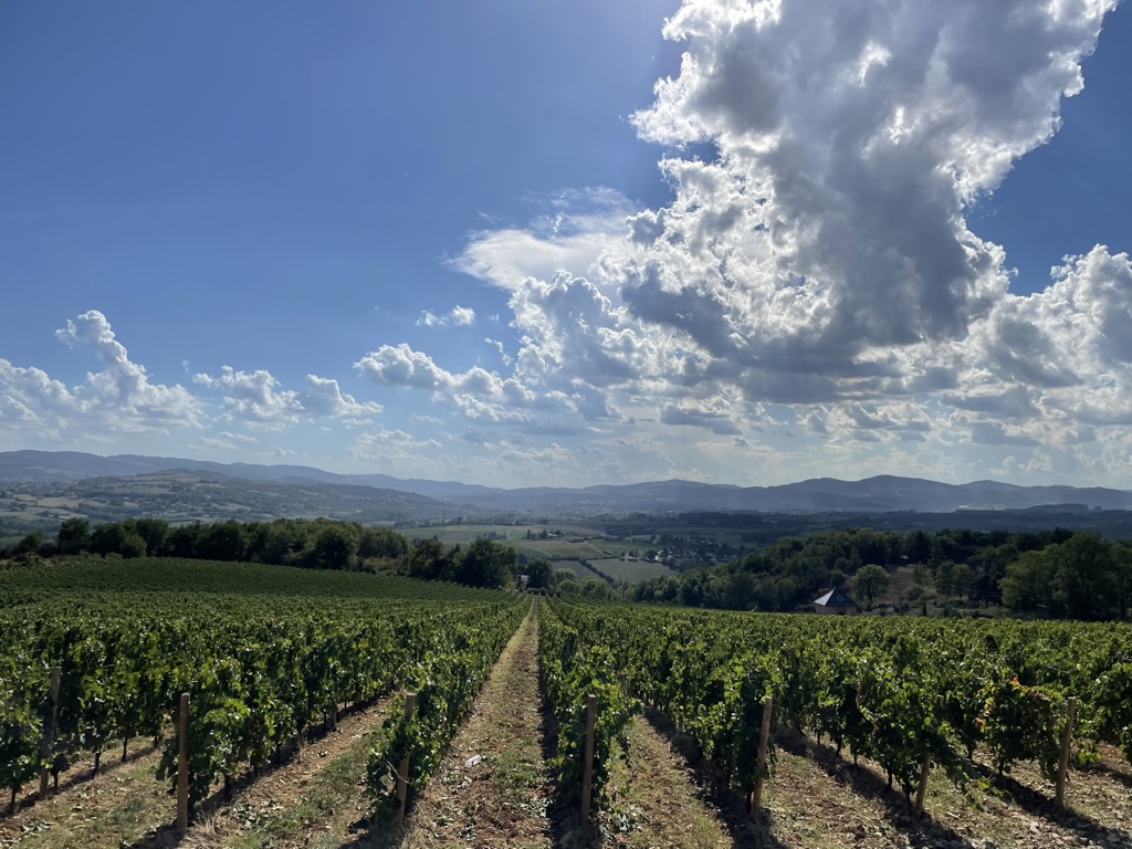 Sortie moto en Beaujolais sur les traces des Ségusiaves