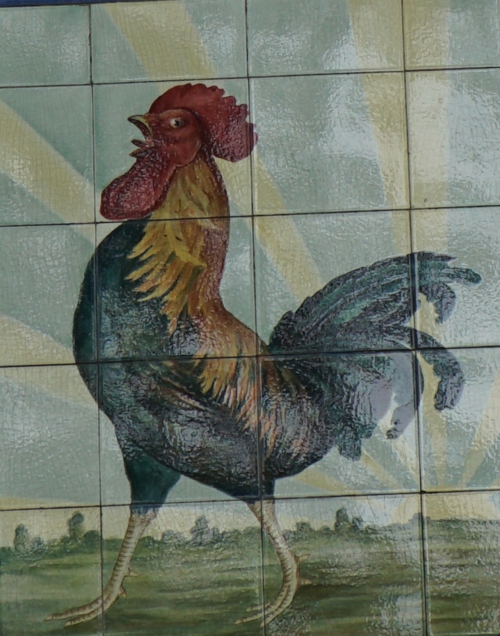 Le coq du Point-du-Jour, toujours vaillant pour appeler au lever du soleil Le coq du Point-du-Jour, toujours vaillant pour appeler au lever du soleil