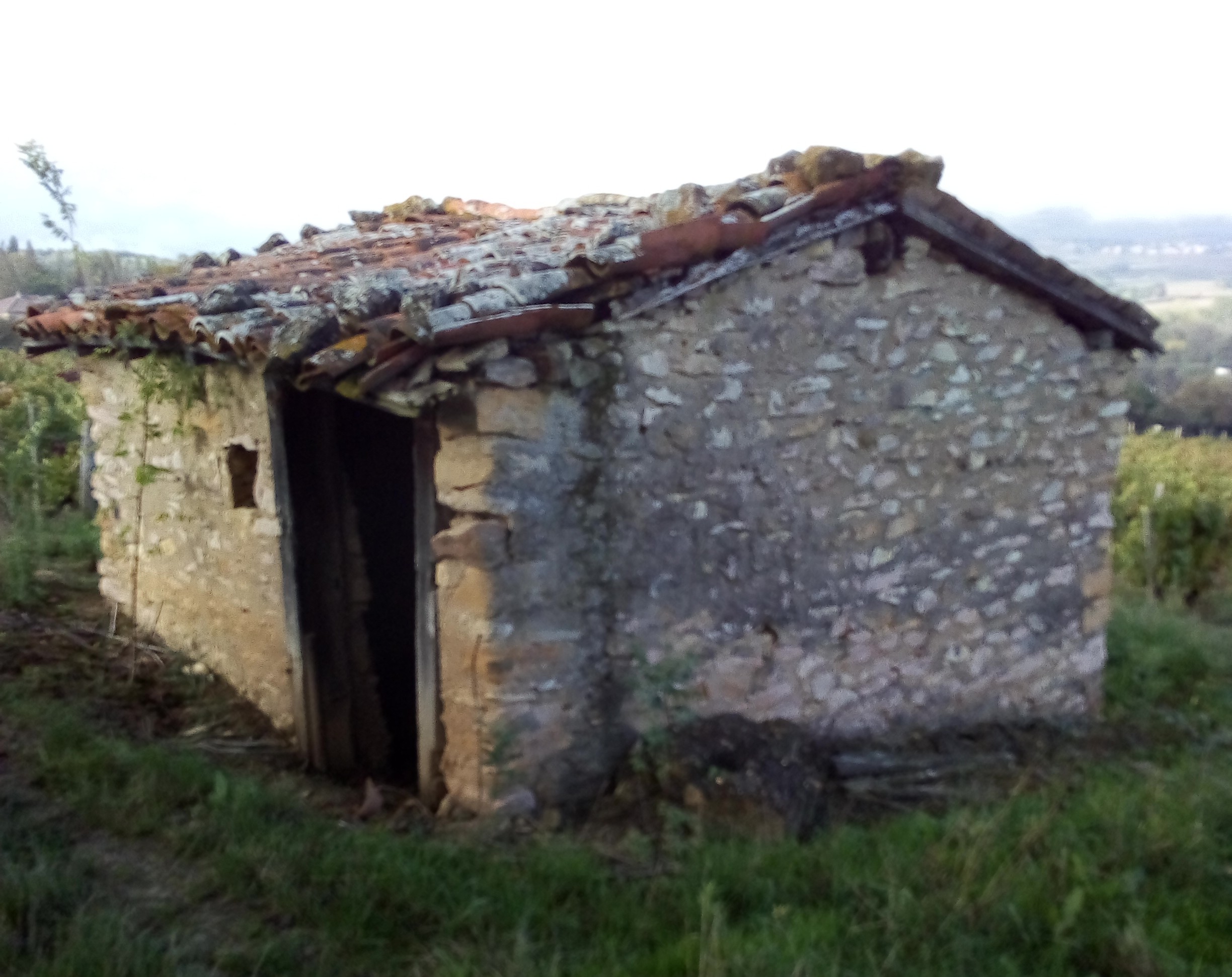 cabane de vignes maçonnée Grange Huguet (Pommiers), autre façon de  construire les cadoles, qui permettaient un abri pour les viticulteurs .