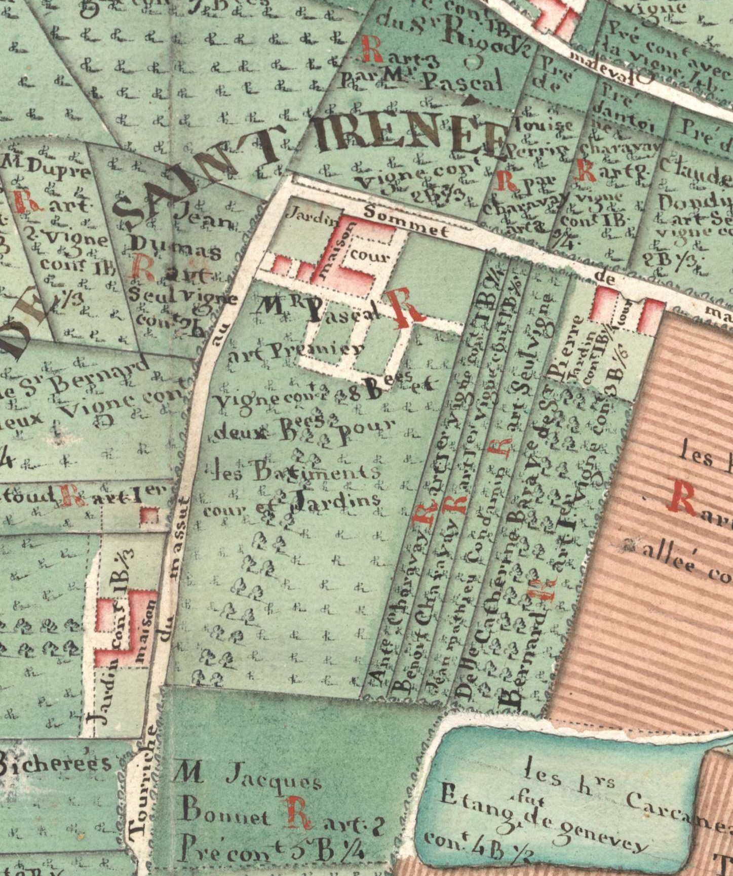 Le plan du domaine, propriété du sieur Pascal en 1730 édifié par le notaire Contamine pour le chapitre de Saint-Irénée.