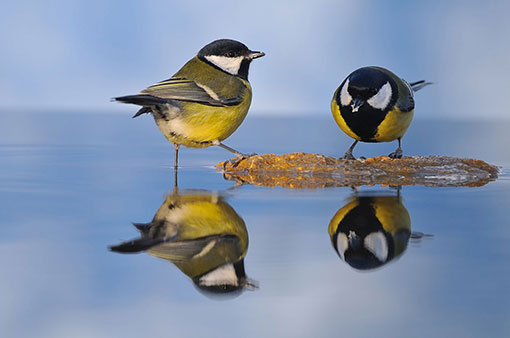 Charbonnières-les-Bains