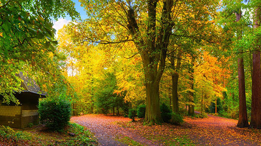 Nature à découvrir